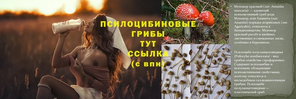 марихуана Абаза