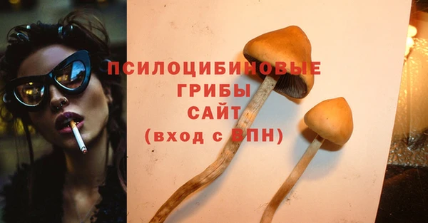 хмурый Абдулино